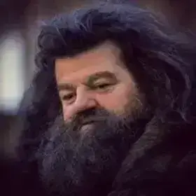 Hagrid Voice Models